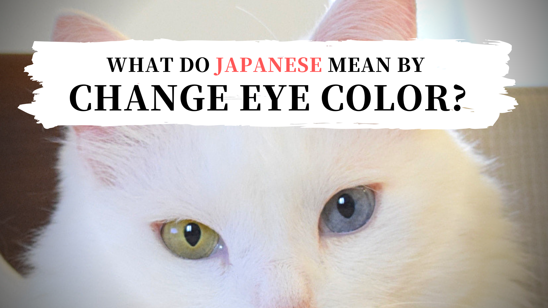 What-do-Japanese-mean-by--change-eye-color--_